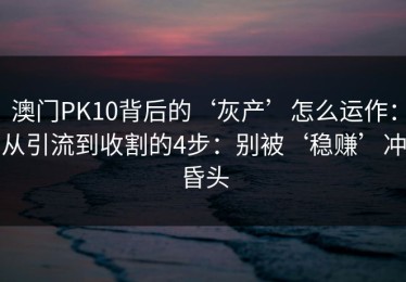 澳门PK10背后的‘灰产’怎么运作：从引流到收割的4步：别被‘稳赚’冲昏头