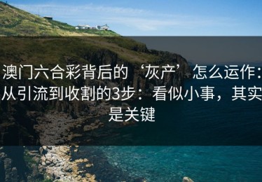 澳门六合彩背后的‘灰产’怎么运作：从引流到收割的3步：看似小事，其实是关键