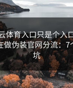 你以为云体育入口只是个入口，其实它可能在做伪装官网分流：7个快速避坑