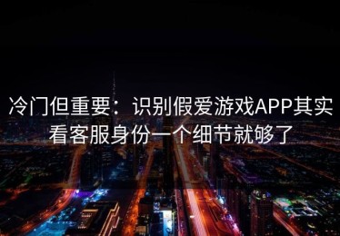冷门但重要：识别假爱游戏APP其实看客服身份一个细节就够了