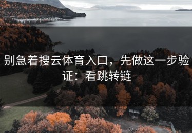 别急着搜云体育入口，先做这一步验证：看跳转链